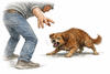 Defensive Aggression beim Hund mit dem Ziel der Distanzvergr&ouml;&szlig;erung gegen&uuml;ber einem Menschen